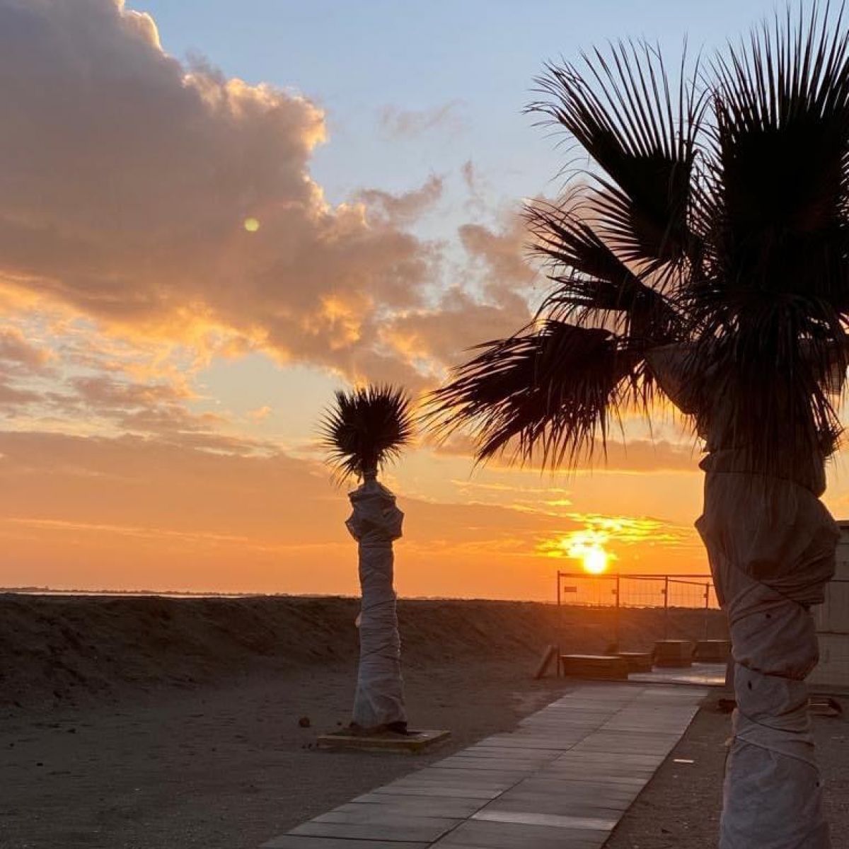  Hotel Giove Cesenatico